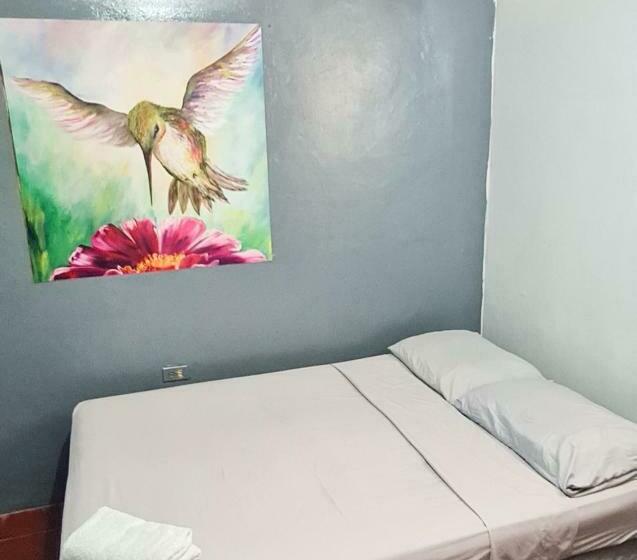 Номер Стандарт Совместная Ванная, Hostal Tortuga Viajera