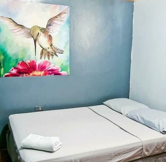 Номер Стандарт Совместная Ванная, Hostal Tortuga Viajera