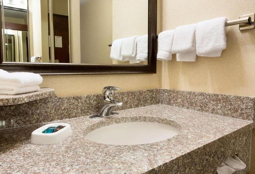 Номер Deluxe, Drury Inn & Suites Joplin