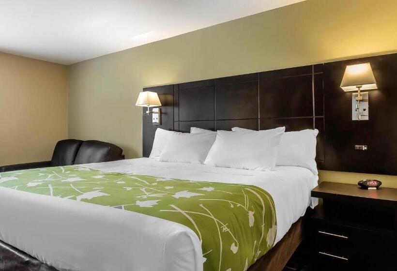 Стандартный Номер Кровать Кинг, Econo Lodge Boaz