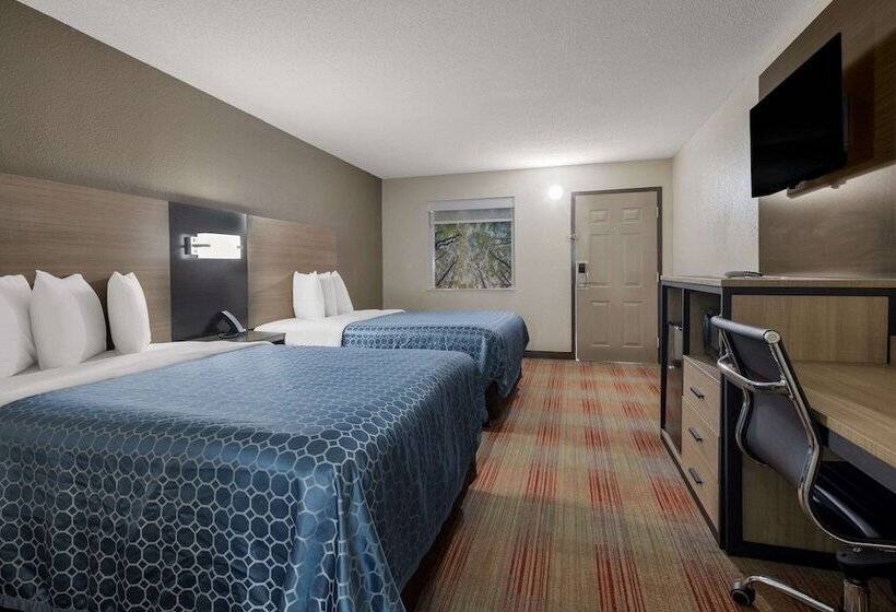 带2个双人床的标准工作室, Rodeway Inn