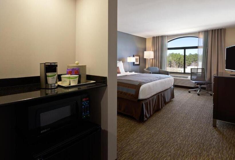 Номер Deluxe Кровать Кинг, Wingate By Wyndham Slidell/new Orleans East Area