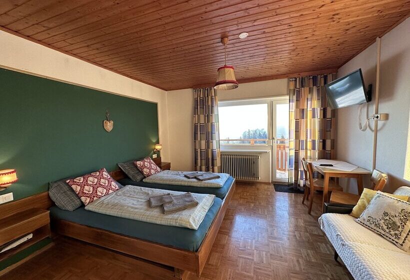 Номер Basic, Berggasthof Hochlitten