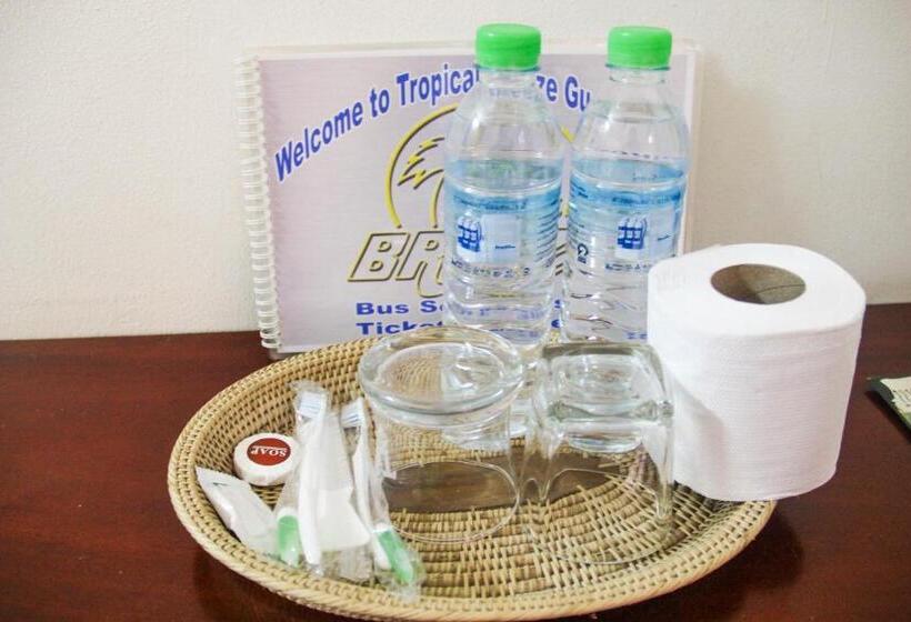 اتاق استاندارد سه نفره, Tropical Breeze