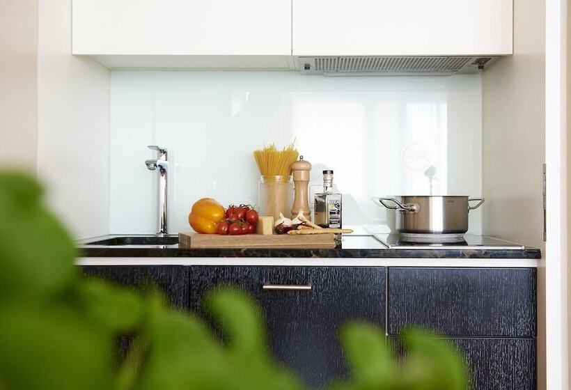 Apartamento Executivo 1 Dormitório, Singerstrasse 21 25 Aparthotel 350m Next To St Stephen S Square