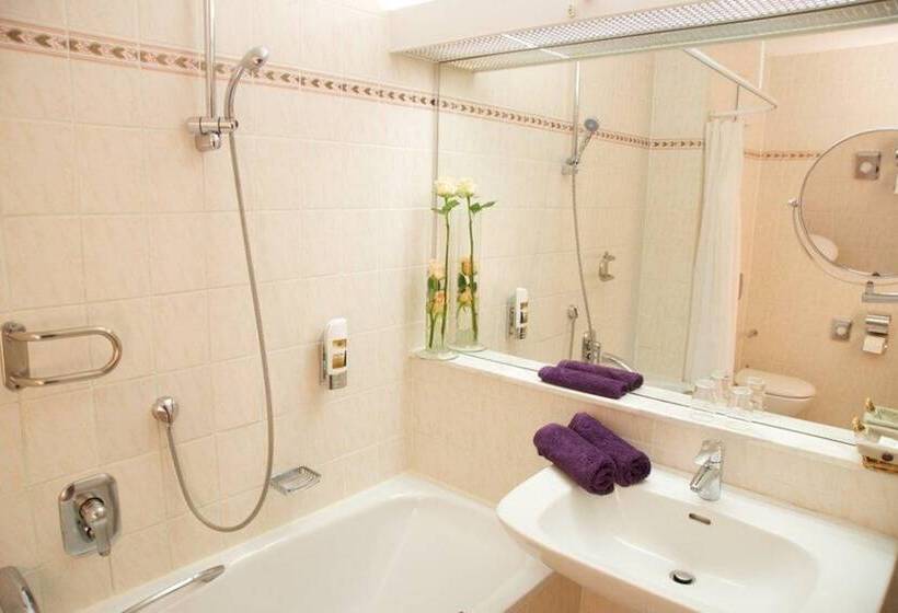 Номер Стандарт Вид на Парк, Parkhotel   Rosarium