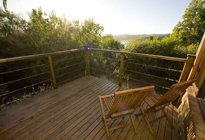 Suíte, Elephant Hide Of Knysna Guest Lodge