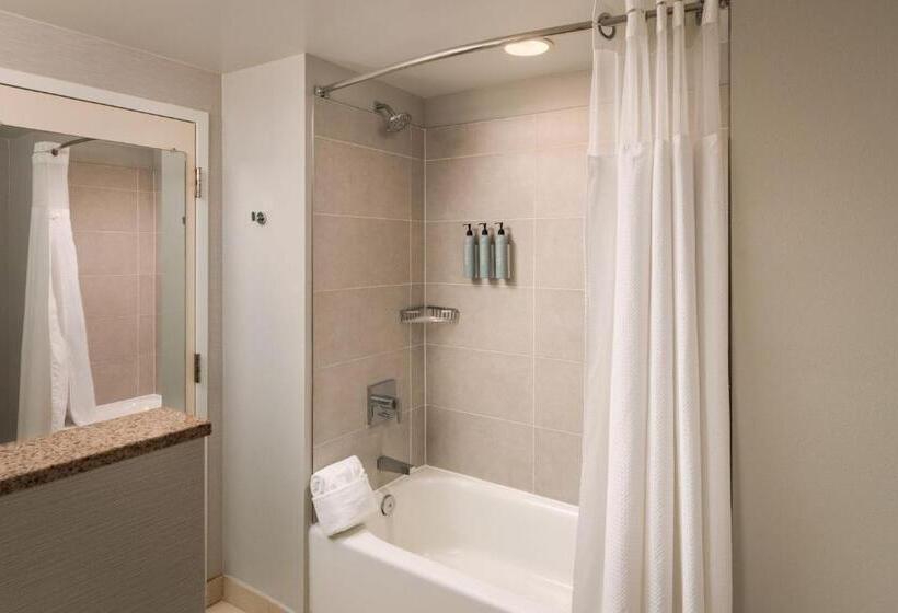 Номер Стандарт, Courtyard By Marriott St. Petersburg Downtown