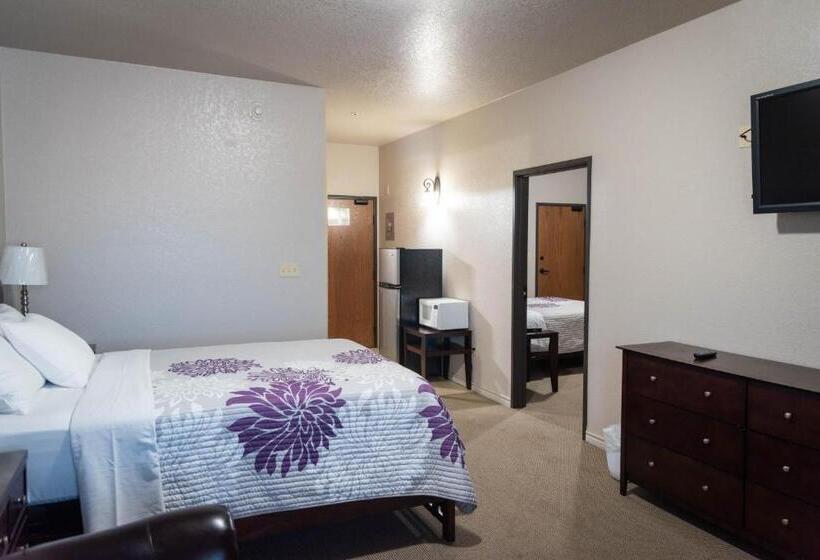 带2个卧室的套房, Premium Inn And Suites