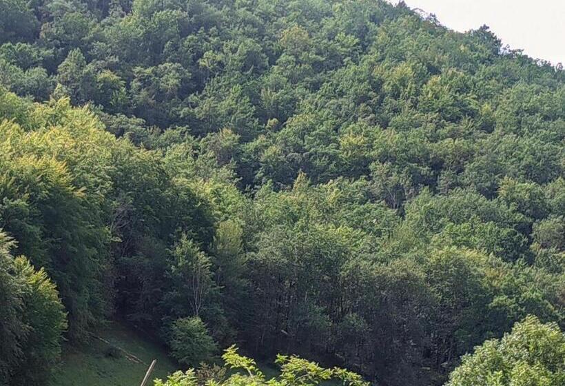 Стандартный Номер Кровать Кинг, Source Nature