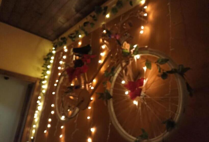 اتاق استاندارد یک نفره, La Bicicletta Rifiorita