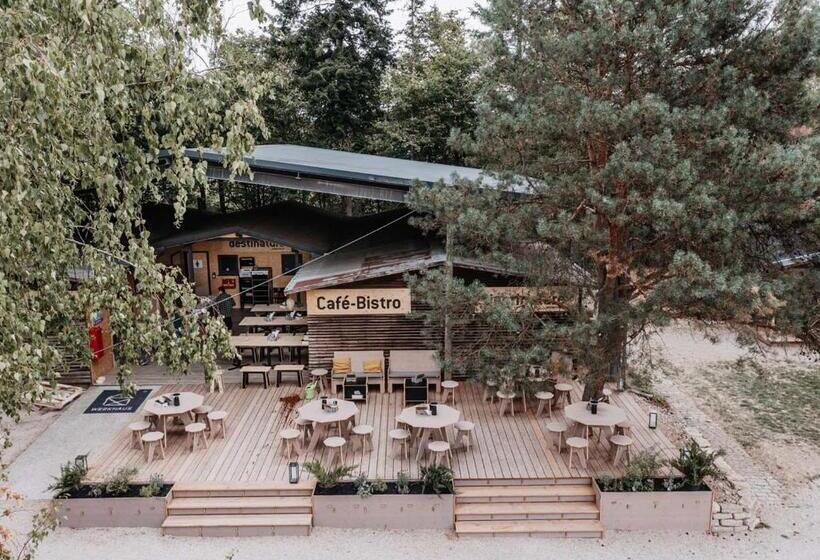 Четырехместный Номер Стандарт, Destinature Dorf Südeifel