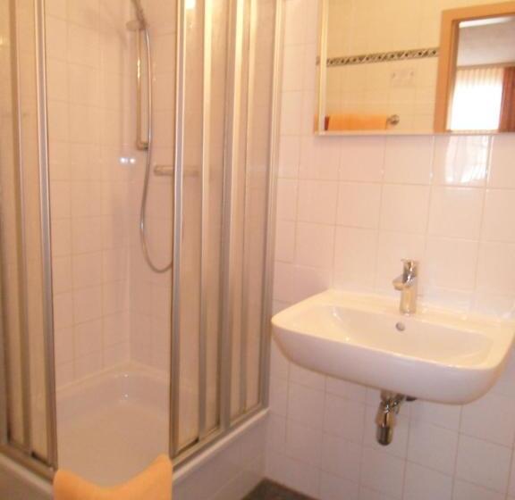 标准单人间, Altstadt Hotel Peiß
