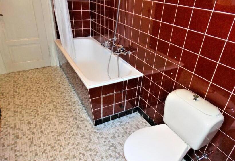 اتاق استاندارد با سرویس بهداشتی مشترک, Bündnerhof