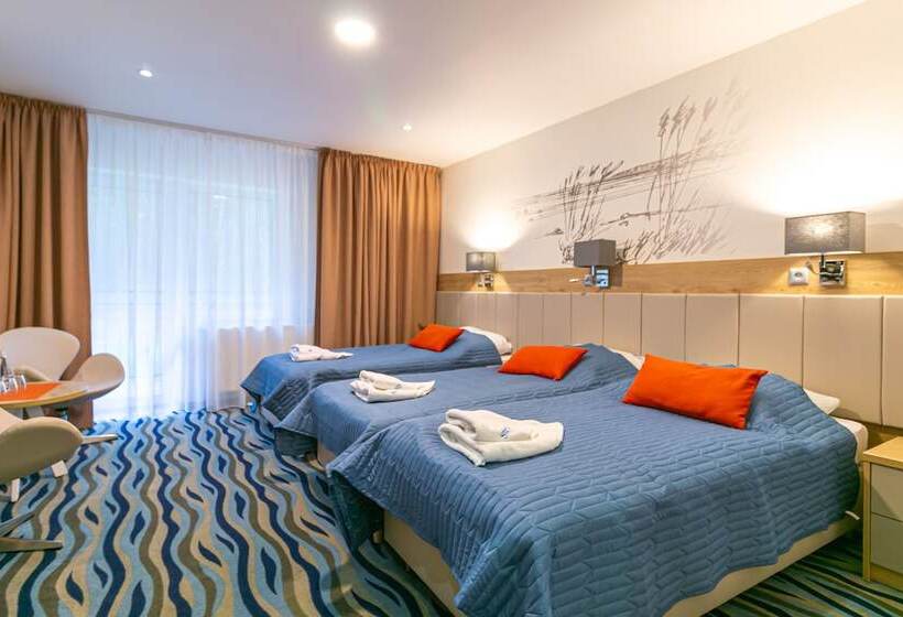 Номер Стандарт Трехместный, Bagińscy Spa