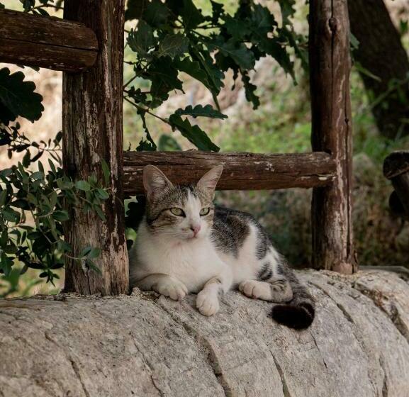 اتاق لوکس با چشم‌انداز باغ, Agriturismo Pantalica Ranch