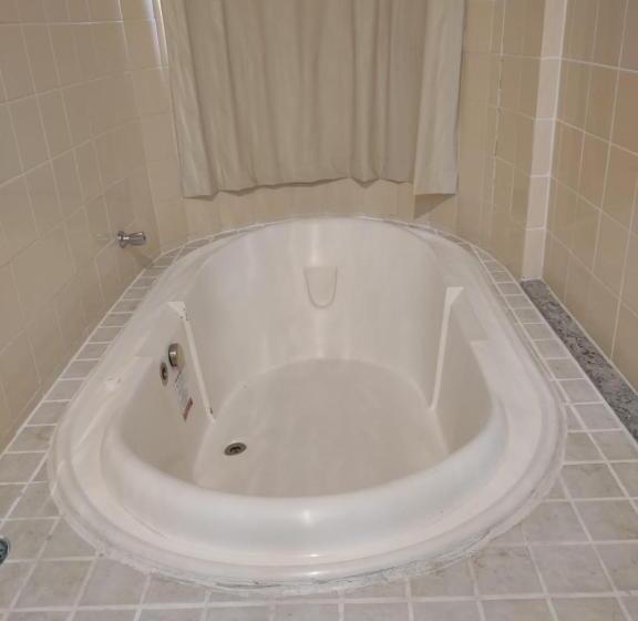 Студия Deluxe, Hot Springs Flat Apart Hotel Master Luxo Com Banheira