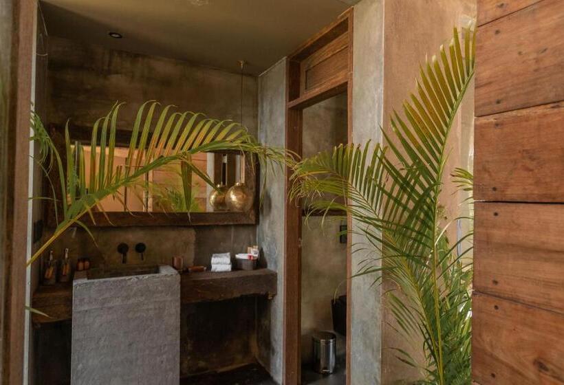 デラックスバンガロー, Nomade Holbox