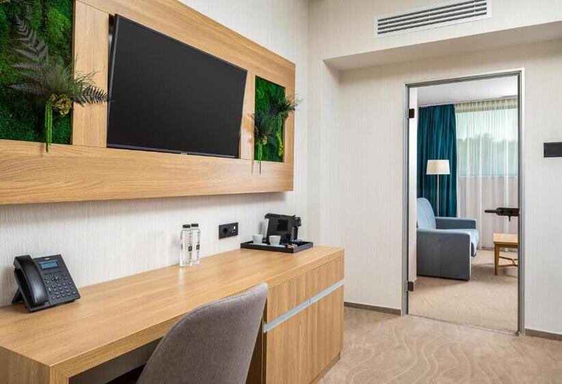 سوئیت با تخت بزرگ, Alma Health & Spa Retreat