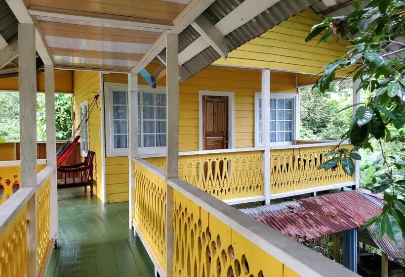 بانگلوی استاندارد, Bastimentos Hill Guest House