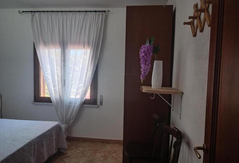 Номер Basic, B&b Gorropis