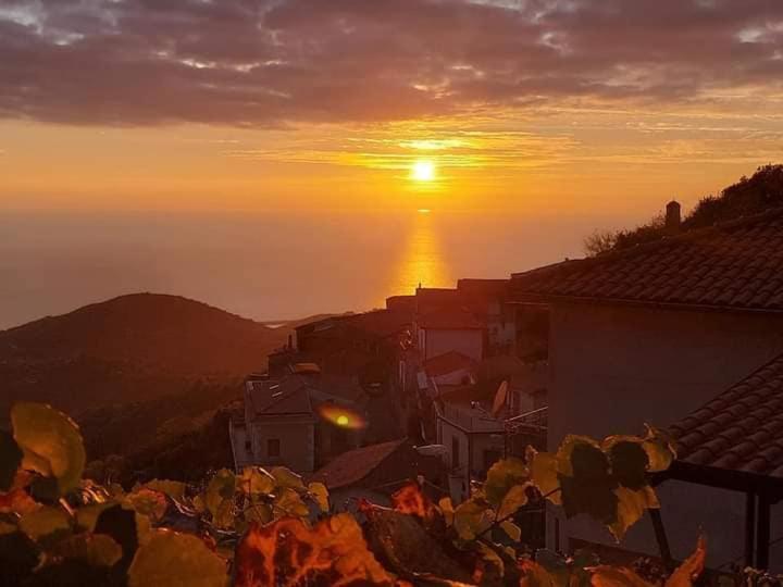 Апартаменты 1 Спальня, Carmineholidayhouse
