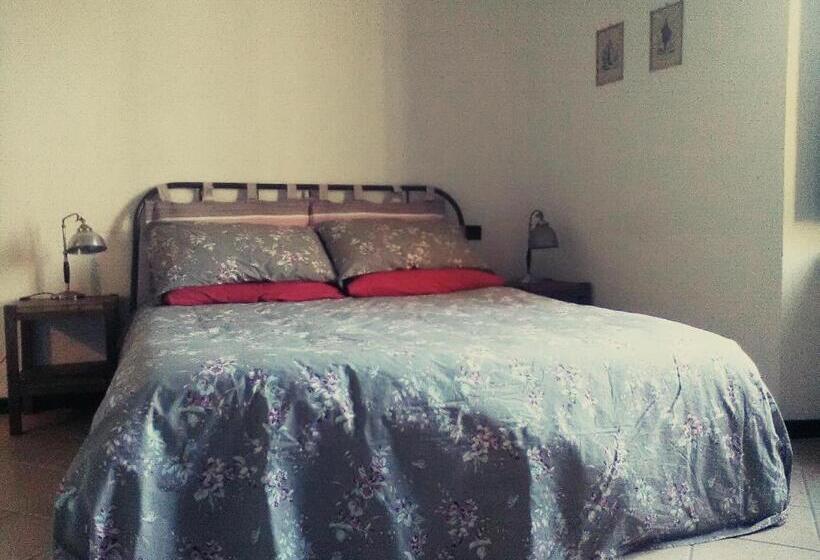 Номер Стандарт, Oddi21 B&b