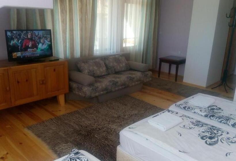 Номер Стандарт Трехместный, Guest House Garbevi