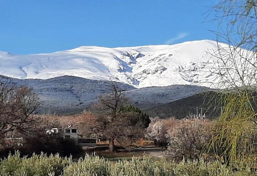 Номер Стандарт Совместная Ванная, Vakantieboerderij La Balsa