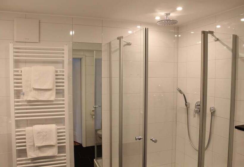 Номер Executive, Rheinhotel Arte