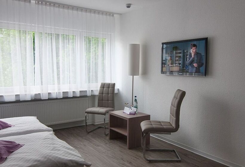Номер Стандарт, Rheinhotel Arte