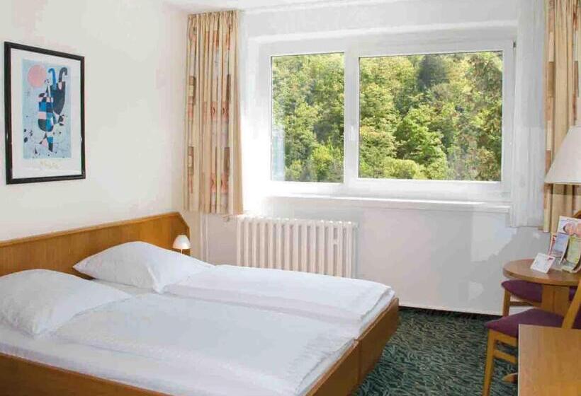 스탠다드 싱글 룸, Morada Hotel Alexisbad
