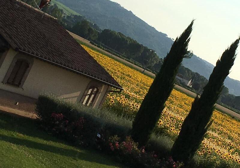 Апартаменты 1 Спальня, Agriturismo Le Rondini Di Francesco Di Assisi