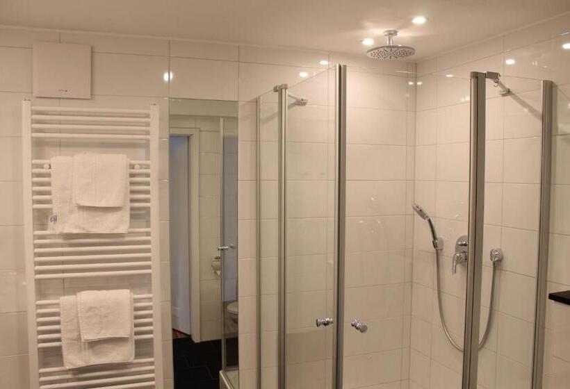 Номер Superior Одноместный, Rheinhotel Arte