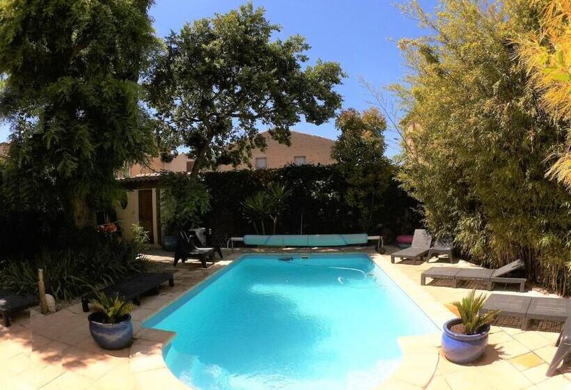 Номер Стандарт Вид на Сад, La Villa Carcassonne, Cité 8 Min à Pieds, Clim, Piscine, Full Wifi, Borne 7,5kw, Vélo élect, Parking