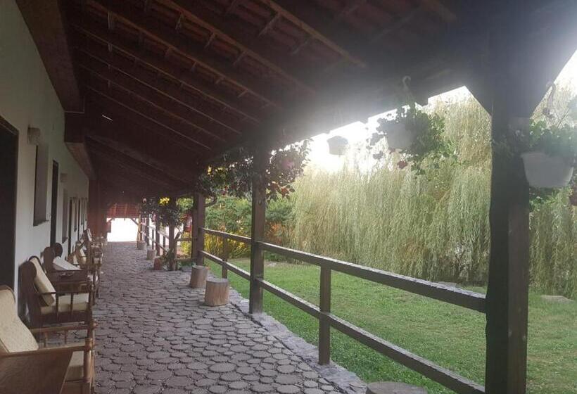 Номер Deluxe Кровать Кинг, Vila Sura Razoare