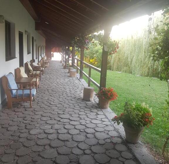 Номер Deluxe, Vila Sura Razoare