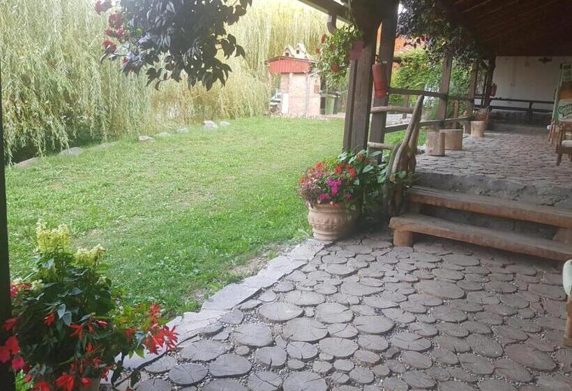 Семейный Номер, Vila Sura Razoare