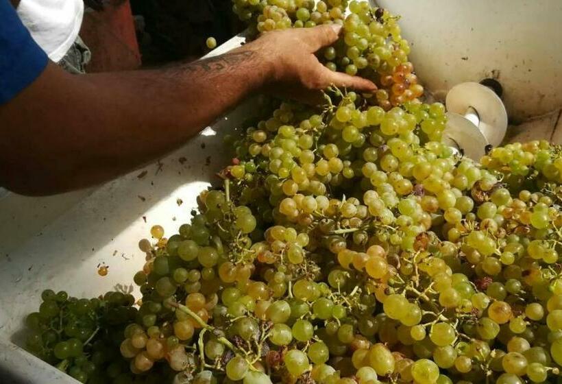 آپارتمان 1 خوابه, Agriturismo Del Monte
