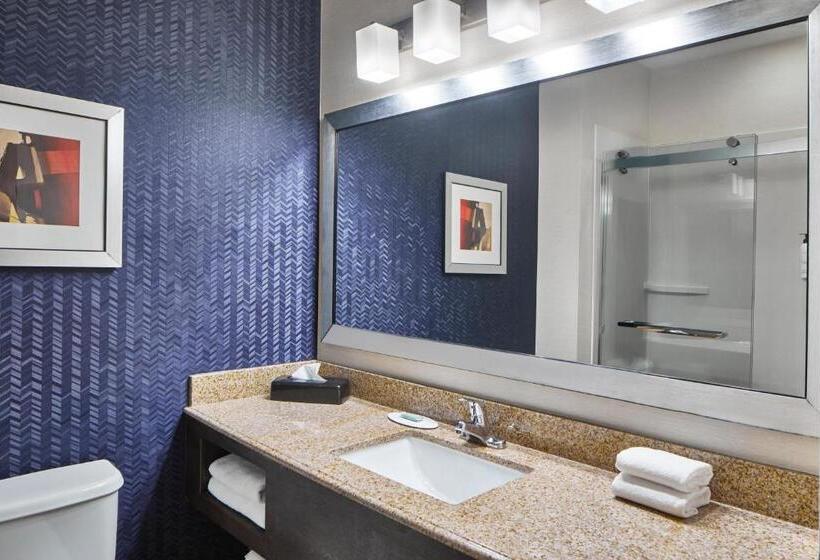 스탠다드 스튜디오 킹침대, Fairfield Inn & Suites By Marriott Gainesville