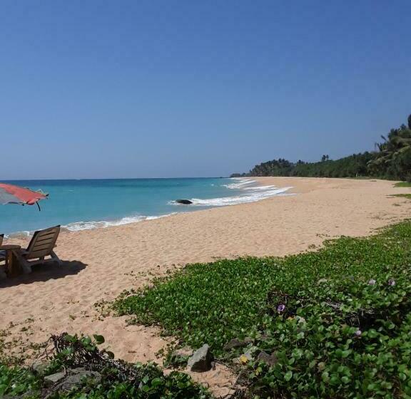 Номер Superior, Gold Sand Resort