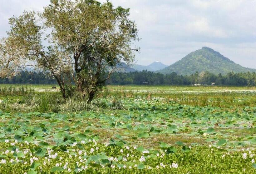 标准间带湖景, Lake Face Cabana