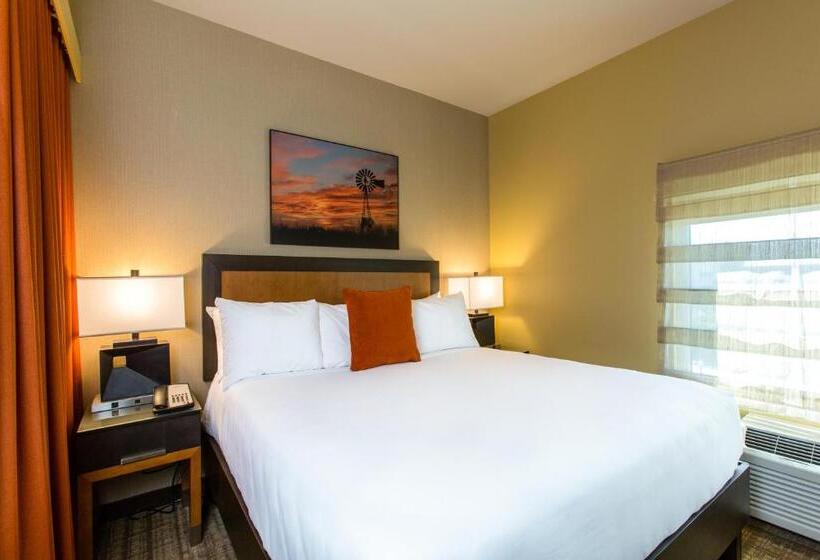 سوئیت برای معلولان, Cambria Hotel Plano   Frisco