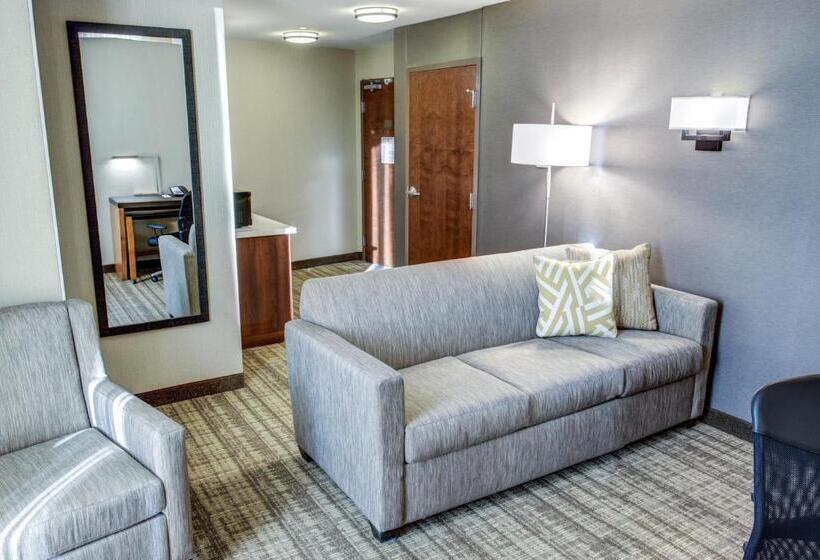 Люкс Executive Кровать Кинг, Cambria Hotel Plano   Frisco