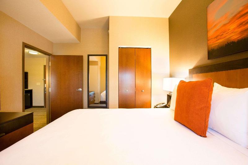 سوئیت با تخت بزرگ, Cambria Hotel Plano   Frisco