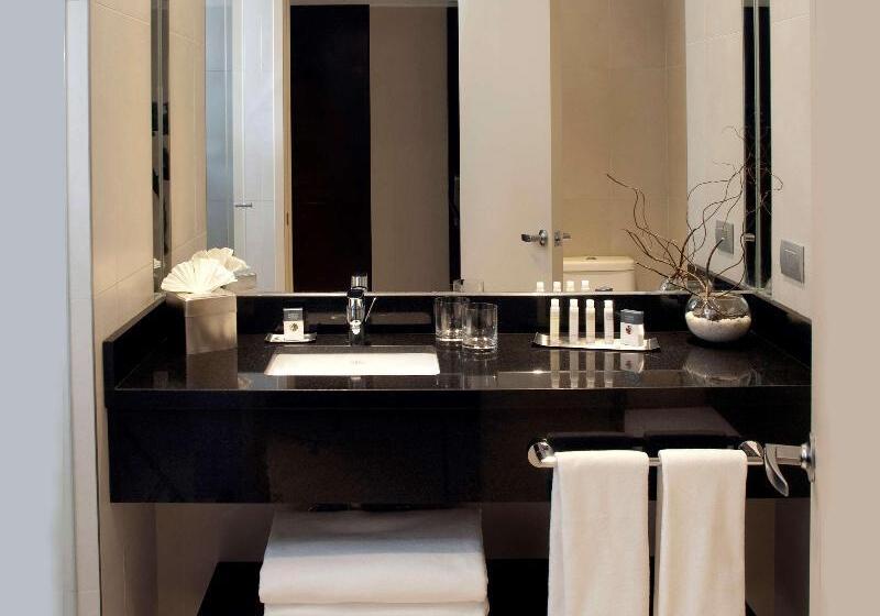 스탠다드 룸 킹사이즈 침대, Doubletree By Hilton Hotel Santiago   Vitacura
