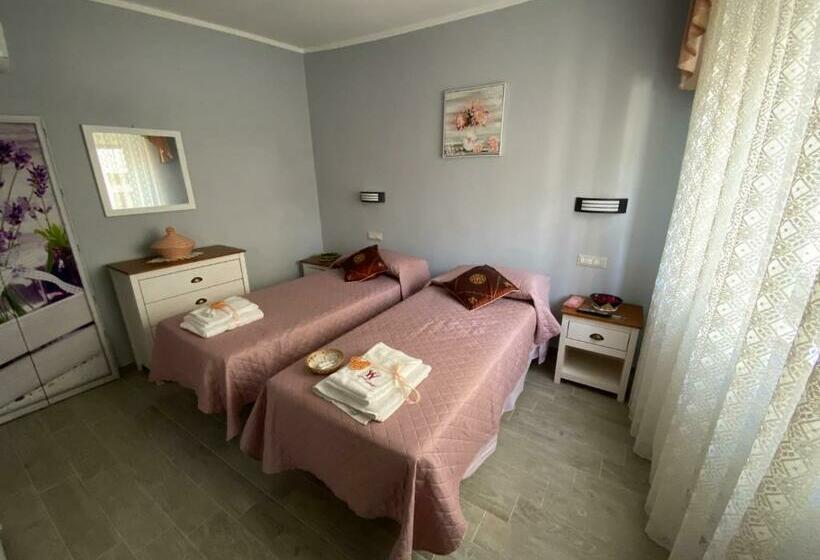 Номер Стандарт, B&b Babay