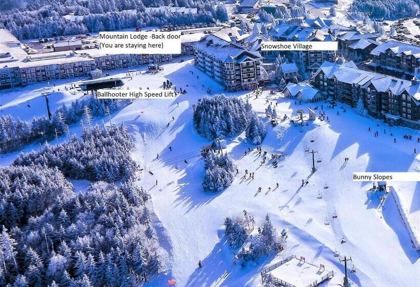 침실 1개 아파트, Stroll To Slopes, Village Area, Ski In Out Mtlodge 210