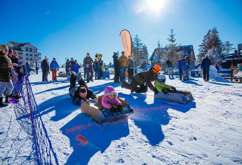 침실 1개 아파트, Stroll To Slopes, Village Area, Ski In Out Mtlodge 210