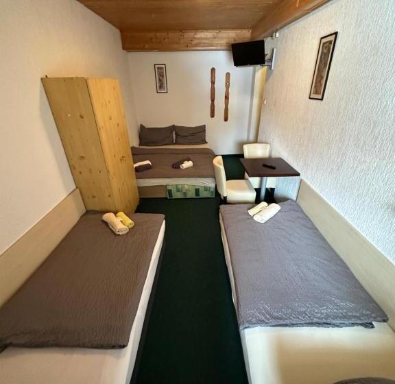 四人标准间, Penzion Erika
